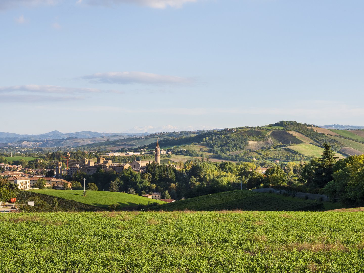 Castelvetro di Modena